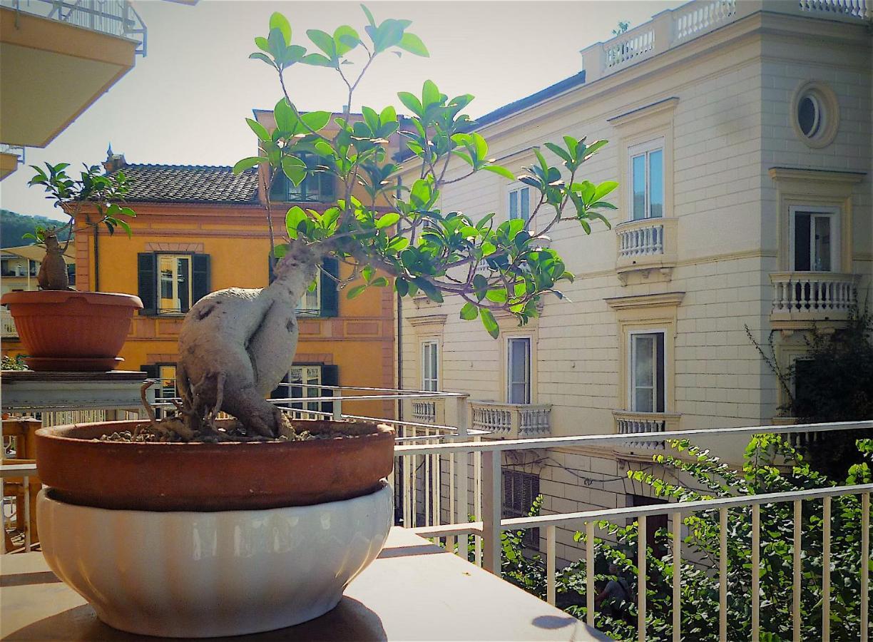 Angelina Suite B&B - Sorrento Centro エクステリア 写真
