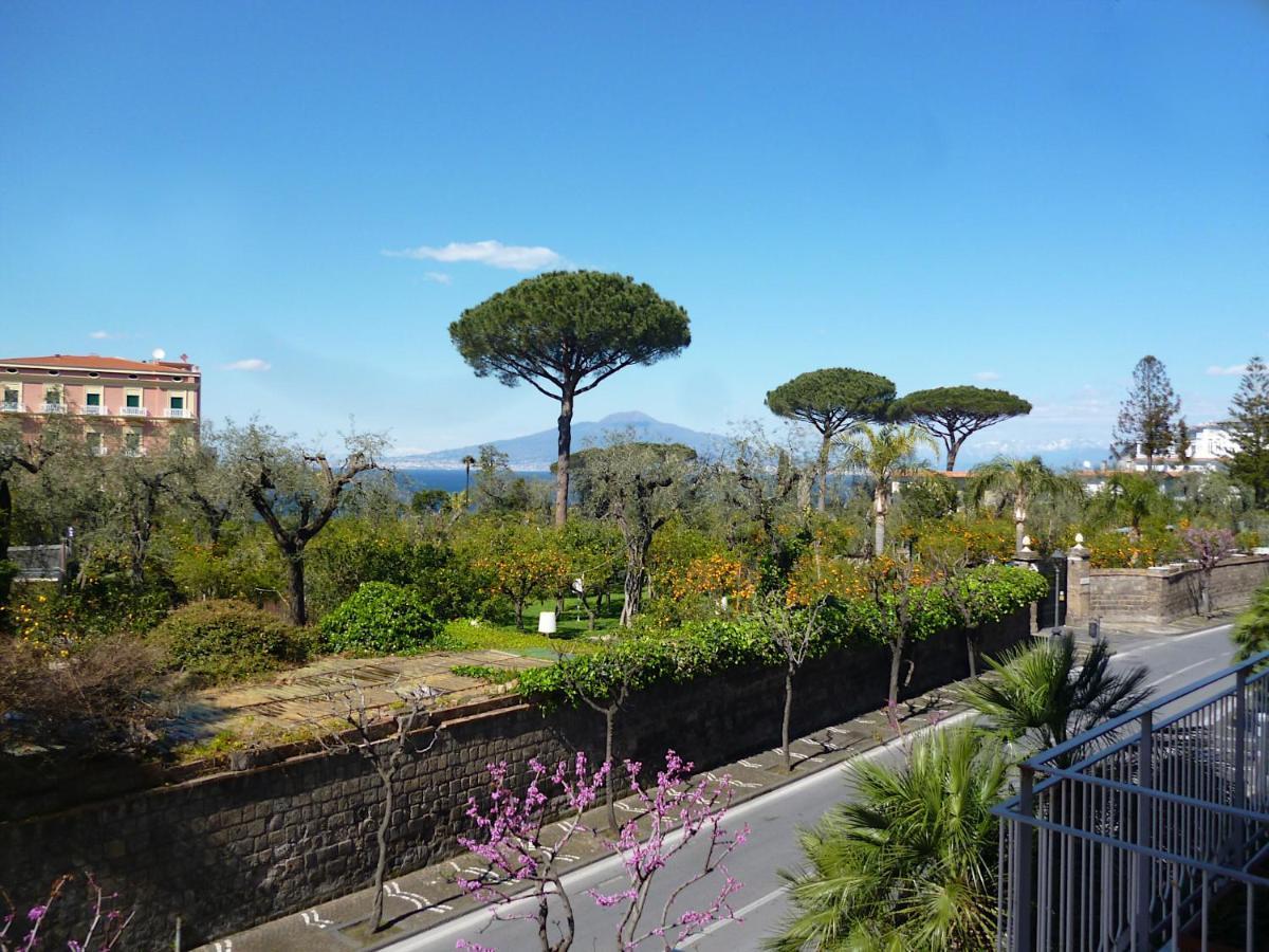 Angelina Suite B&B - Sorrento Centro エクステリア 写真
